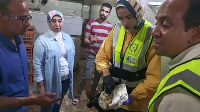 ضبط أغذية ولحوم فاسدة في حملة رقابية موسعة بالخصوص بالقليوبية