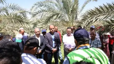 انطلاق التدريب الصيفي لطلاب كلية الزراعة بمزارع نخيل الوادي الجديد