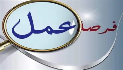 اللجنة العليا للوظائف تعلن 580 فرصة عمل للشباب في التخصصات المختلفة