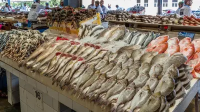 البلطي يتخطى 109 جنيه والجمبري يبدأ من 265 جنيهًا.. مفاجأة في أسعار الأسماك اليوم