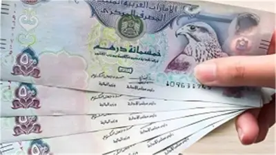 سعر الدرهم الإماراتي مقابل الجنيه في البنوك اليوم الأحد 21-6-2026