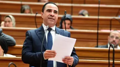 نائب: حوافز جمركية غير مسبوقة لدعم المصانع وتوطين المركبات الكهربائية
