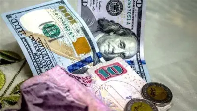 سعر الدولار اليوم في مصر 15 يونيو 2026.. استقرار بالبنوك والتعاملات المسائية