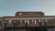 السجن المشدد 15 عامًا لصاحب مزرعة زيتون بتهمة الاتجار بالحشيش في رأس سدر