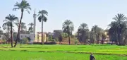 كيف كان حرث الأرض الزراعية في قرى الريف منذ 151 سنة؟ صورة نادرة
