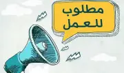 الحكومة تعلن توفير 1590 فرصة عمل برواتب تصل إلى 16 ألف جنيه والتقديم من المنزل