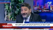 الغمري: محاولات منظمة لإضعاف مؤسسات الدولة المصرية بعد 2013