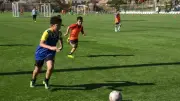 دور اللجان الفنية في اختبارات المقاولون العرب للناشئين 2026