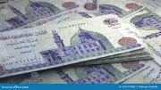 دليل الاستثمار في مصر 2026: أعلى 5 شهادات ادخار بعائد شهري ثابت