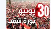 وكيل دينية النواب: 30 يونيو أنقذت مصر من مشروع الجماعة الإرهابية