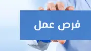 48 فرصة عمل بالخاج براتب يصل إلى 1130 دولاراً.. الشروط ورابط التقديم