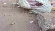48 ساعة كشفت لغز جريمة أبو النمرس.. جوالان على الطريق يفضحان الجناة