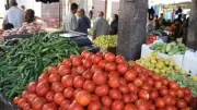 انخفاض جديد في أسعار الطماطم اليوم الجمعة 5 يونيو 2026