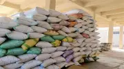 ضبط 5 أطنان دقيق في حملات تموينية مكثفة خلال 24 ساعة