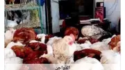استقرار أسعار الدواجن في أسوان اليوم الجمعة 5-6-2026