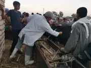 أكثر من 6.8 مليون جرعة تطعيم ضد الحمى القلاعية والوادي المتصدع في مصر
