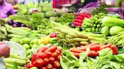 أسعار الخضار اليوم الأحد 7 يونيو 2026: الطماطم بـ 7 جنيهات وارتفاع البامية والخيار
