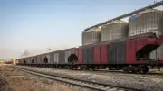ميناء دمياط يستقبل 8 سفن حاويات وبضائع عامة خلال 24 ساعة