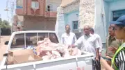 ضبط 85 كجم لحوم و424 قطعة مواد غذائية منتهية الصلاحية في حملة تموينية بقنا