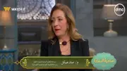 مسؤولة بالعاصمة الإدارية: فرحة مبالغ فيها خلف إتلاف مقاعد الفان زون