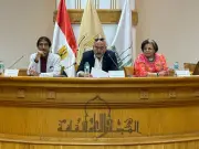 ندوة بالأعلى للثقافة تناقش الفن والتحولات الاجتماعية في مصر 30 يونيو