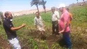 محافظ أسيوط يؤكد متابعة مستمرة للمحاصيل الصيفية ودعم المزارعين