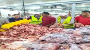الأوقاف تبدأ تجميد لحوم صكوك الأضاحي لنقلها للمحافظات