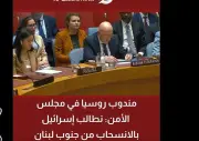 روسيا: التمدد الإسرائيلي في جنوب لبنان غير مقبول دولياً