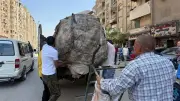 الجيزة تكثف حملاتها للقضاء على النباشين والفريزة بالهرم وفيصل