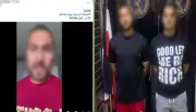 خلافات بيع أطعمة الكلاب تقود صاحبي محل إلى النيابة في الأميرية