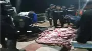 جثث على الأسفلت.. أرقام صادمة عن حوادث الطرق في مصر