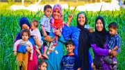 الاستعلام عن الأسماء الجدد في معاش تكافل وكرامة بالرقم القومي فقط