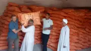وزارة الزراعة تنفي إلغاء صرف الأسمدة وتؤكد ترشيد الاستخدام وفق أسس علمية