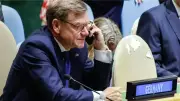 ألمانيا: دعم أوكرانيا وإسرائيل كلفنا خسارة أصوات في انتخابات مجلس الأمن