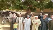 الزراعة تصرف مليون شيكارة أسمدة مدعمة للموسم الصيفي دون زيادة في الأسعار