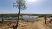 أهالي البداري يتحدون بارتفاع النيل بمعداتهم البسيطة