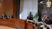 شركة صينية عملاقة تدعم شبكة الكهرباء وتحلية المياه في مصر