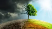 تحولات صحية خطيرة بسبب اضطرابات المناخ العالمية