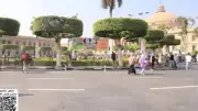 مجلة بيطري القاهرة تحقق المركز الثامن عالميًا في تصنيف سكوباس