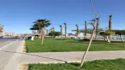 محافظة القاهرة تشارك في اليوم العالمي للبيئة بجهود مكثفة للتشجير وتدوير المخلفات