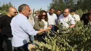 وزيرة التنمية المحلية: مشروع الجوجوبا نموذج متكامل للاستغلال الأمثل للموارد