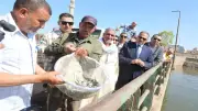 إطلاق مليون زريعة أسماك في بحر مويس بالشرقية لتعزيز الثروة السمكية