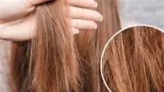 ماسكات طبيعية للشعر التالف من الشمس لاستعادة النعومة والحيوية