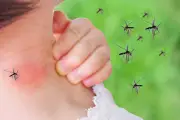 كيف تحمي أطفالك من لسعات الحشرات أثناء الحر؟ نصائح مهمة