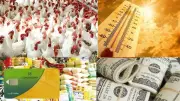 مفاجآت تحويل الدعم العيني لنقدي وأسعار الذهب والدولار وحالة الطقس اليوم