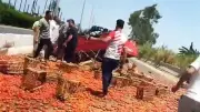 انقلاب سيارة محملة بالطماطم على طريق كفر الزيات - طنطا الزراعي وإصابة السائق