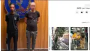 كشف حقيقة اتهامات البلطجة وترويج المخدرات داخل مقهى بالقاهرة