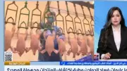 خبيرة تحذر: التتبيل لا يخفي فساد الدواجن وإعادة التجميد خطر كبير