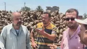 استجابة فورية من زراعة الدقهلية لأزمة نقل بنجر السكر في غزالة