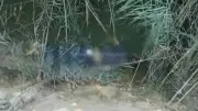 تحركات أمنية مكثفة لكشف غموض العثور على جثة طفل في فاقوس